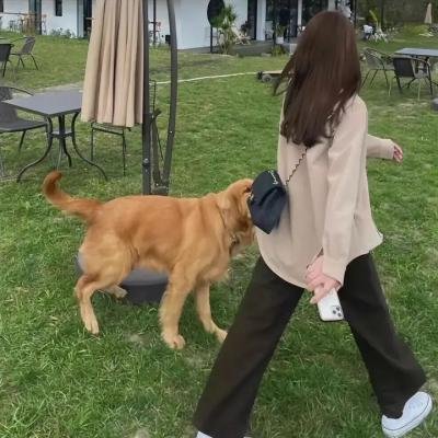 桃姐